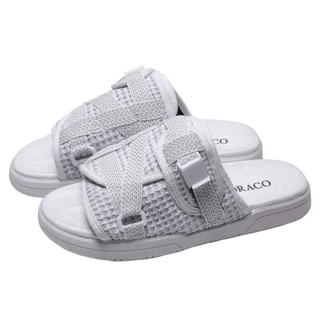 draco slides